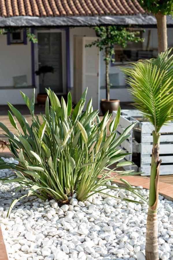 Finca De L'Angles. Levante Potries エクステリア 写真